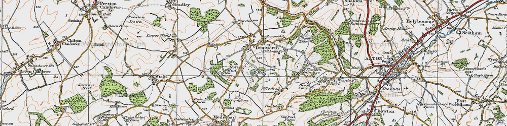 Old map of Holt End in 1919