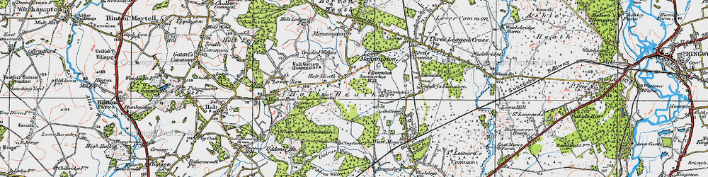 Old map of Holt Heath in 1919