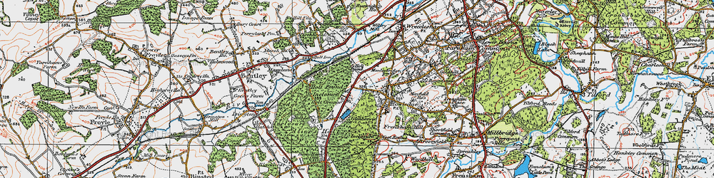Old map of Holt Pound in 1919
