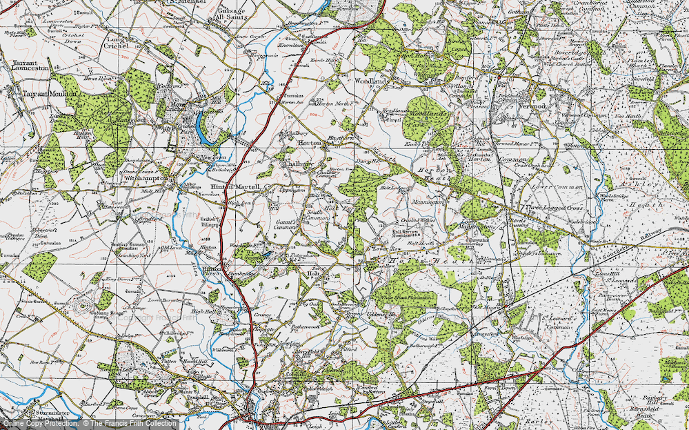 Old Map of Holt Wood, 1919 in 1919