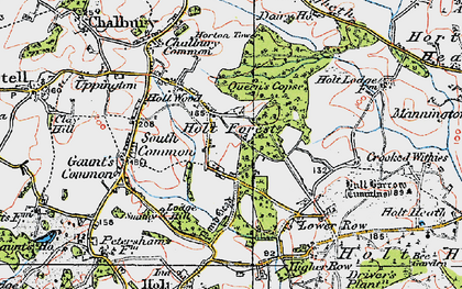 Old map of Holt Wood in 1919