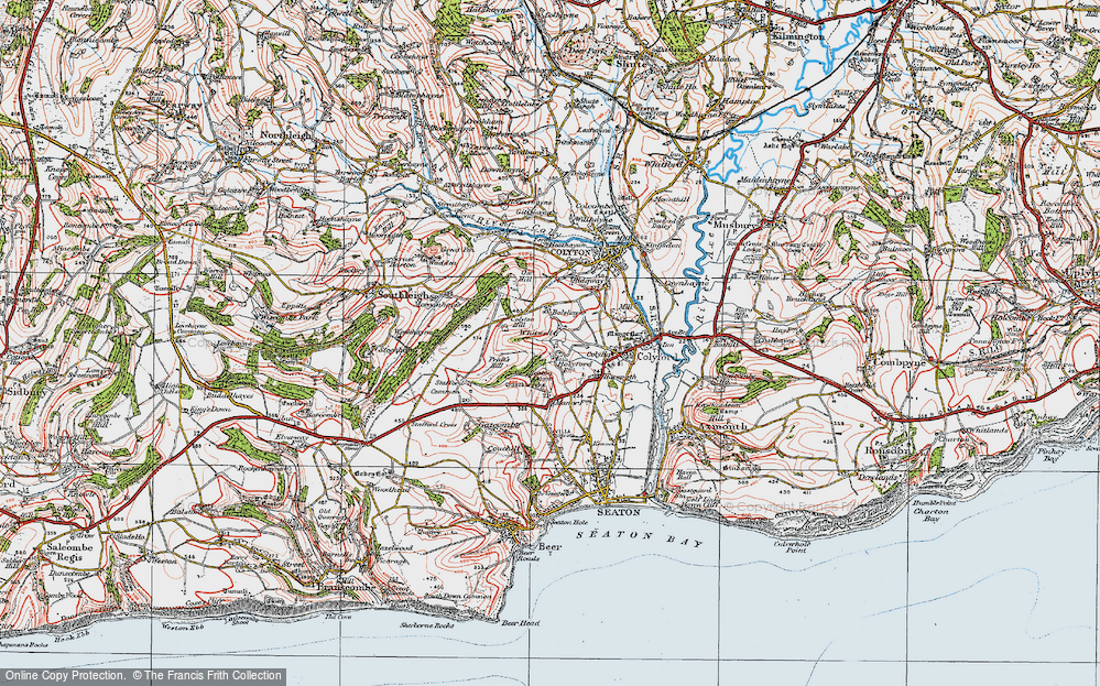 Old Map of Historic Map covering Colyton Hill in 1919