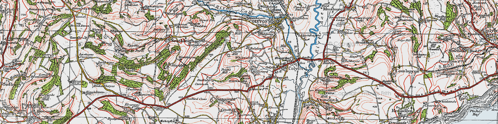 Old map of Colyton Hill in 1919