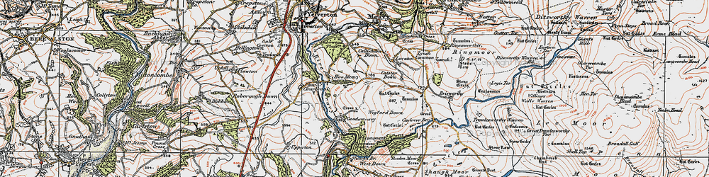 Old map of Hoo Meavy in 1919