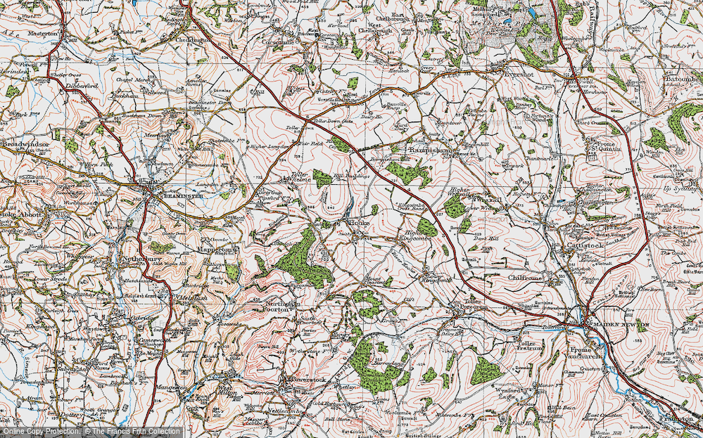 Old Map of Historic Map covering Rampisham Down in 1919
