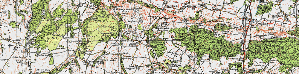 Old map of Hooksway in 1919