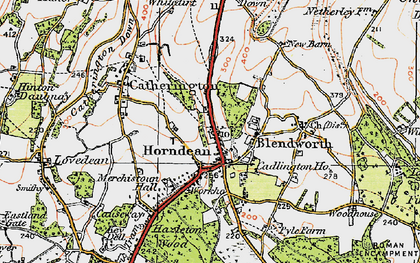 Old map of Horndean in 1919