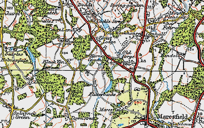 Old map of Horney Common in 1920