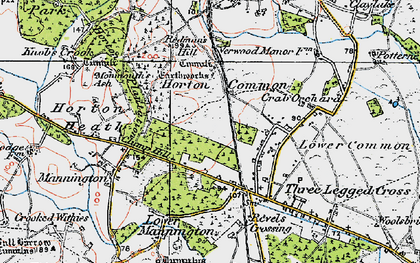 Old map of Horton Common in 1919