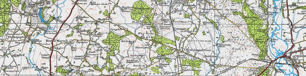 Old map of Horton Heath in 1919