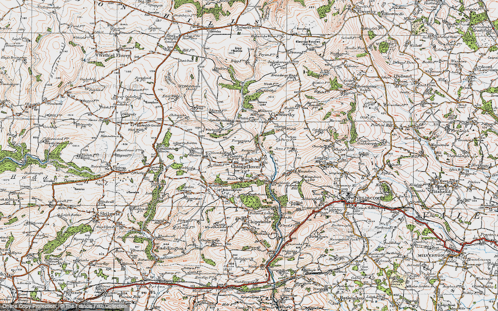 Old Map of Huish Champflower, 1919 in 1919