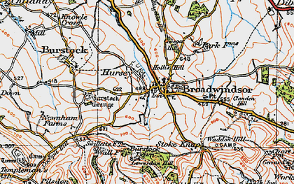 Old map of Lewesdon Hill in 1919