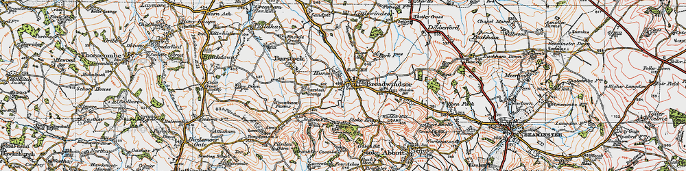 Old map of Burstock Down in 1919