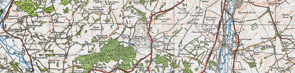 Old map of Hursley in 1919