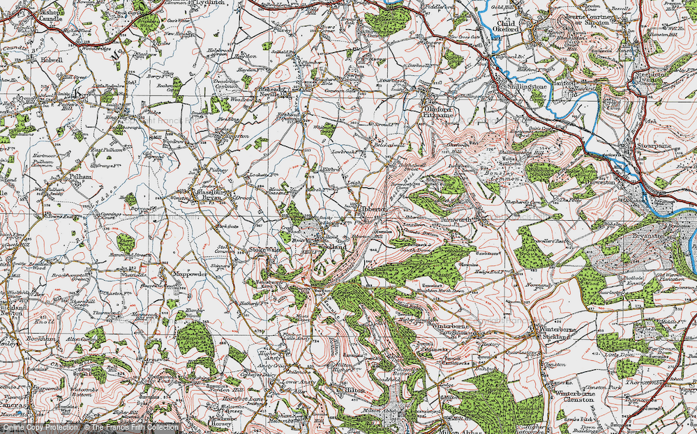 Old Map of Ibberton, 1919 in 1919