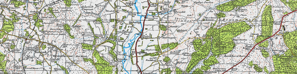 Old map of Ibsley in 1919