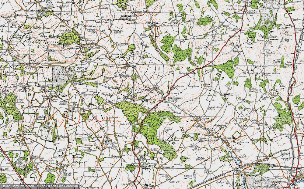 Old Map of Historic Map covering Blagden Copse in 1919