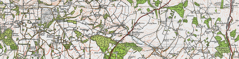 Old map of Blagden Copse in 1919
