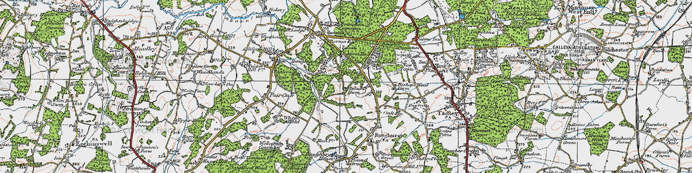 Old map of Inhurst in 1919