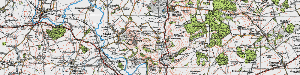 Old map of Iwerne Courtney in 1919