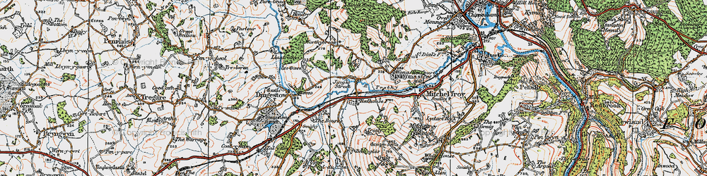 Old map of Wonastow in 1919