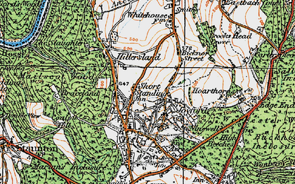 Old map of Joyford in 1919