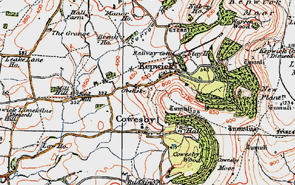 Old map of Whitestone Scar in 1925