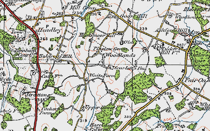 Old map of Kingsclere Woodlands in 1919