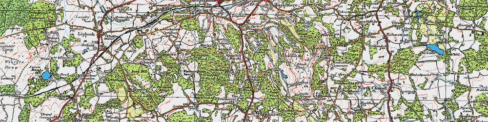 Old map of Kingsley Green in 1919