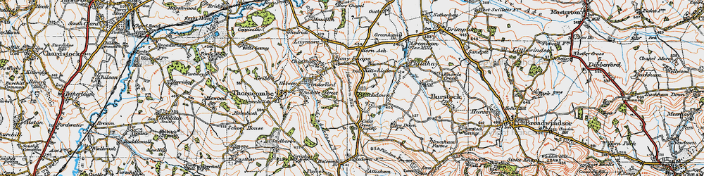 Old map of Blackdown Hill in 1919