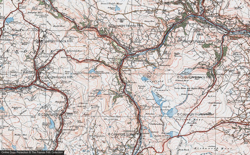 Knowl Wood, 1925