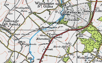 Old map of Brockington Down in 1919