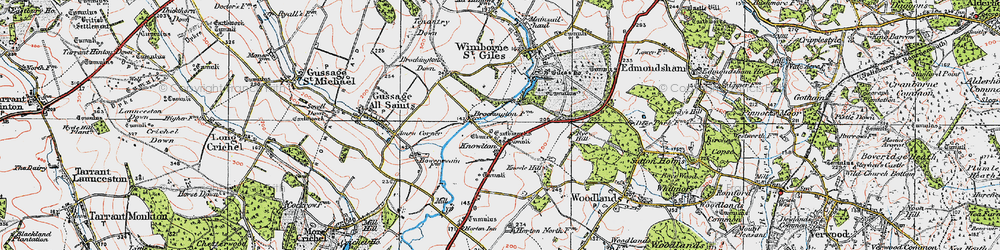 Old map of Brockington Down in 1919