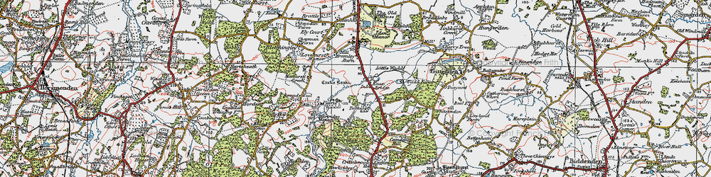 Old map of Brewers Wood in 1921