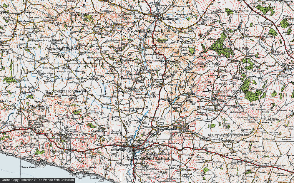 Old Map of Lambrook, 1919 in 1919