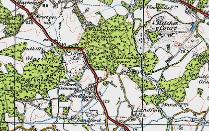 Old map of Whiteparish Common in 1919