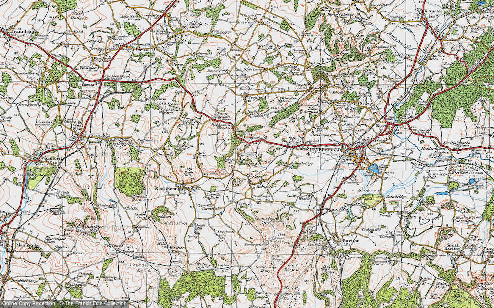 Old Map of Langrish, 1919 in 1919