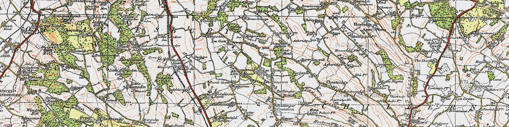 Old map of Bray's Wood in 1919