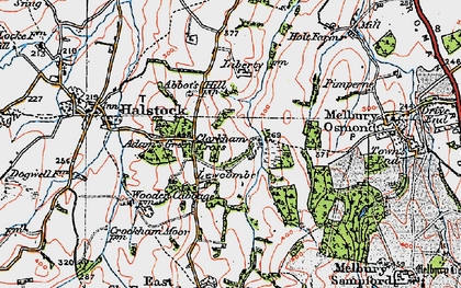 Old map of Lewcombe in 1919