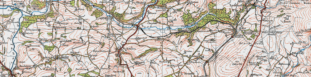 Old map of Liddaton in 1919