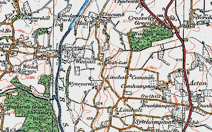 Old map of Lineholt Common in 1920
