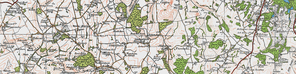 Old map of Linkenholt in 1919