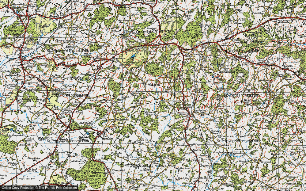 Lions Green, 1920