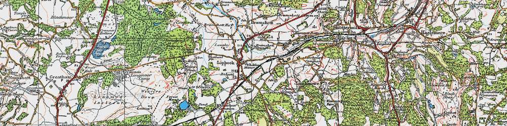 Old map of Liphook in 1919