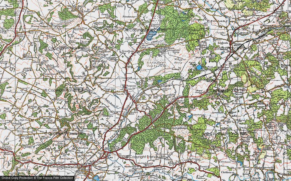 Old Map of Liss Forest, 1919 in 1919