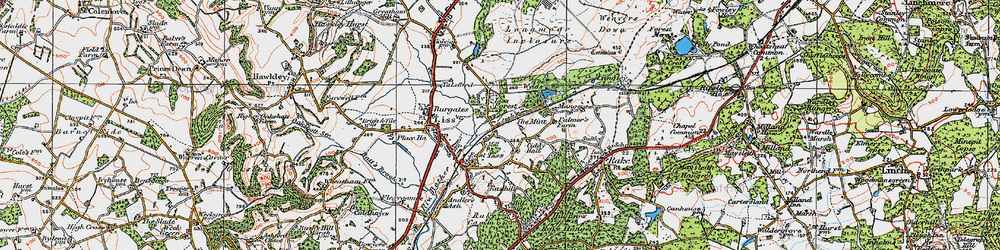 Old map of Liss Forest in 1919