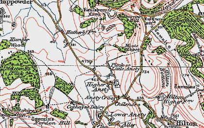 Old map of Little Ansty in 1919
