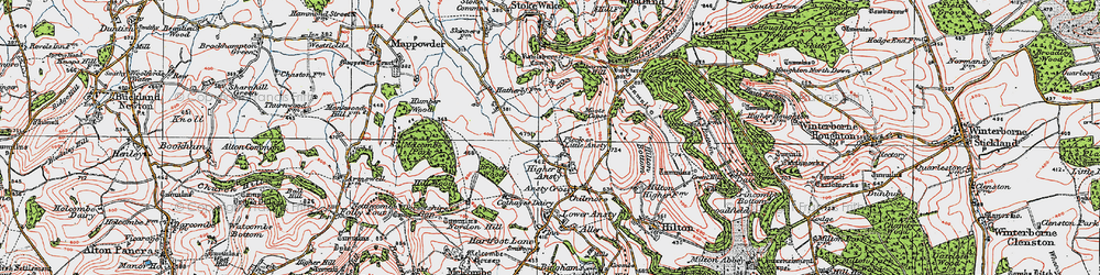 Old map of Little Ansty in 1919