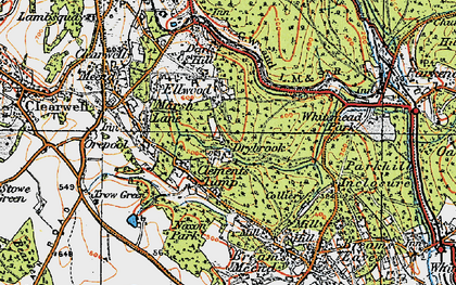 Old map of Little Drybrook in 1919