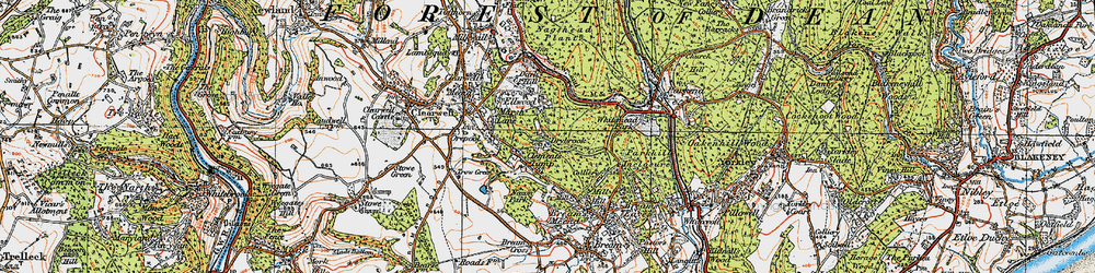 Old map of Little Drybrook in 1919